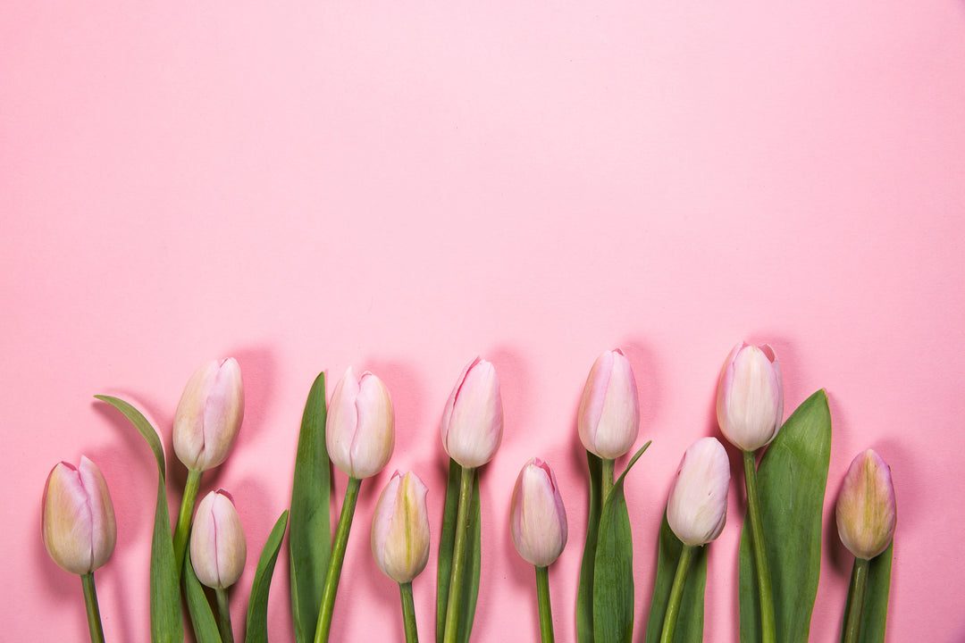 Spring Flowers Delivery Kettering Fresh Blooms Hand Tied Today