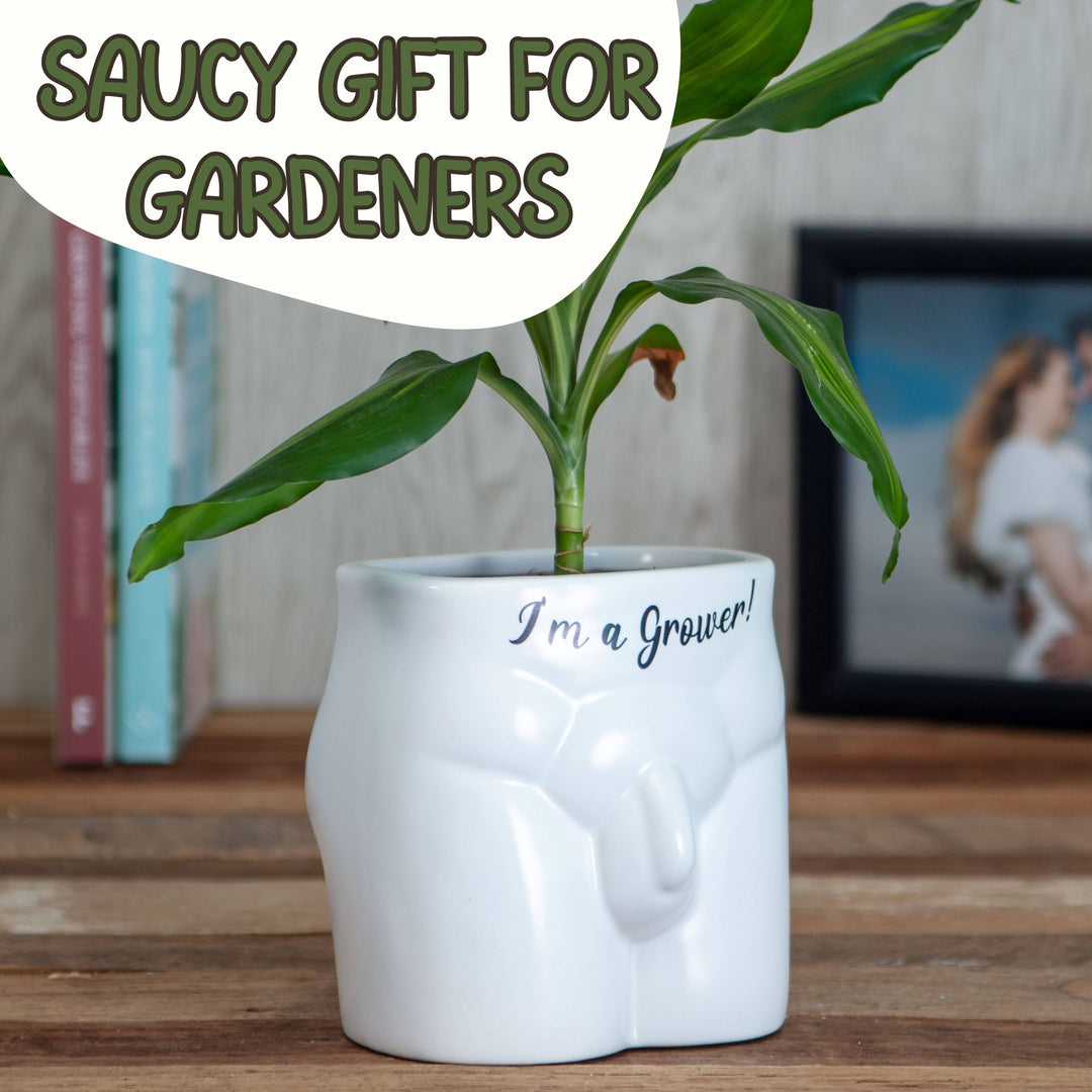 Put Some Plants On - I&