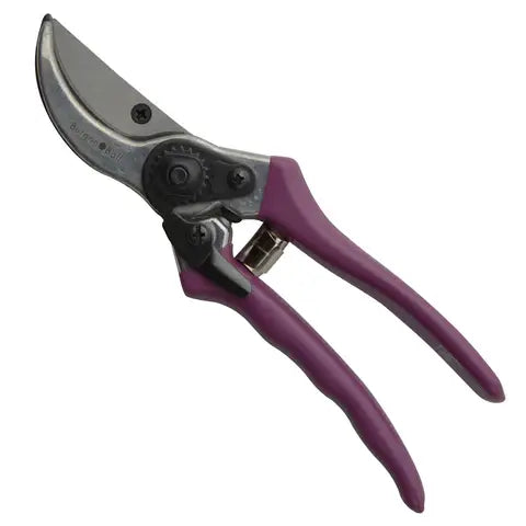 Passiflora Gift Boxed Secateurs - Magnolia the Florist Burgon &amp; Ball RHS-endorsed Bypass Secateur with coloured comfort grip handles. Presented in a beautiful and stylish printed box featuring the striking Passiflora artwork from the RHS Lindley Collections.  2