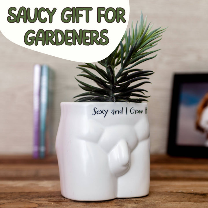 Put Some Plants On - Sexy and I Grow It - Ceramic Pot