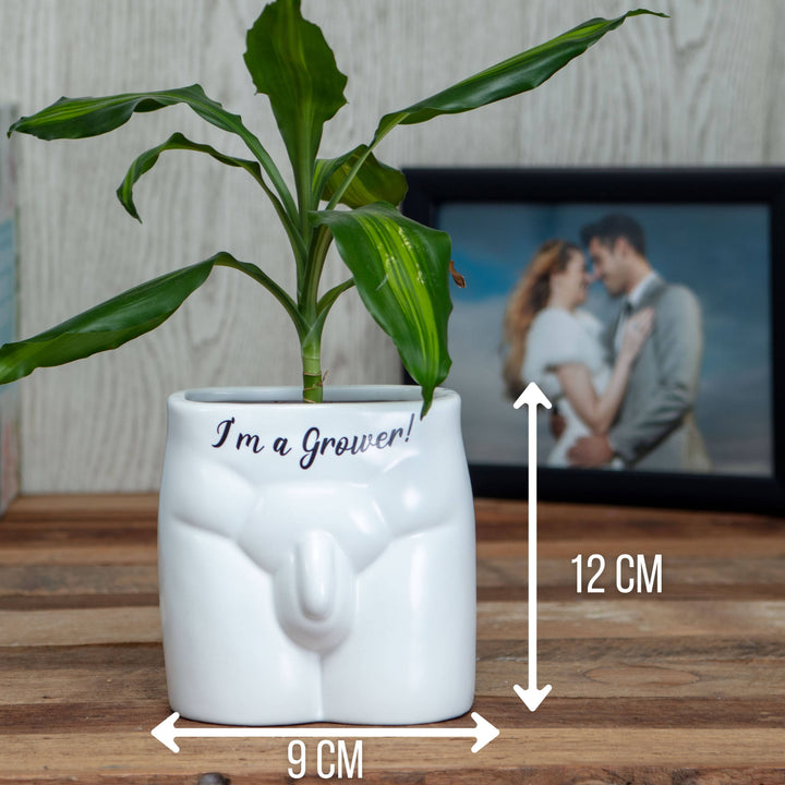 Put Some Plants On - I&