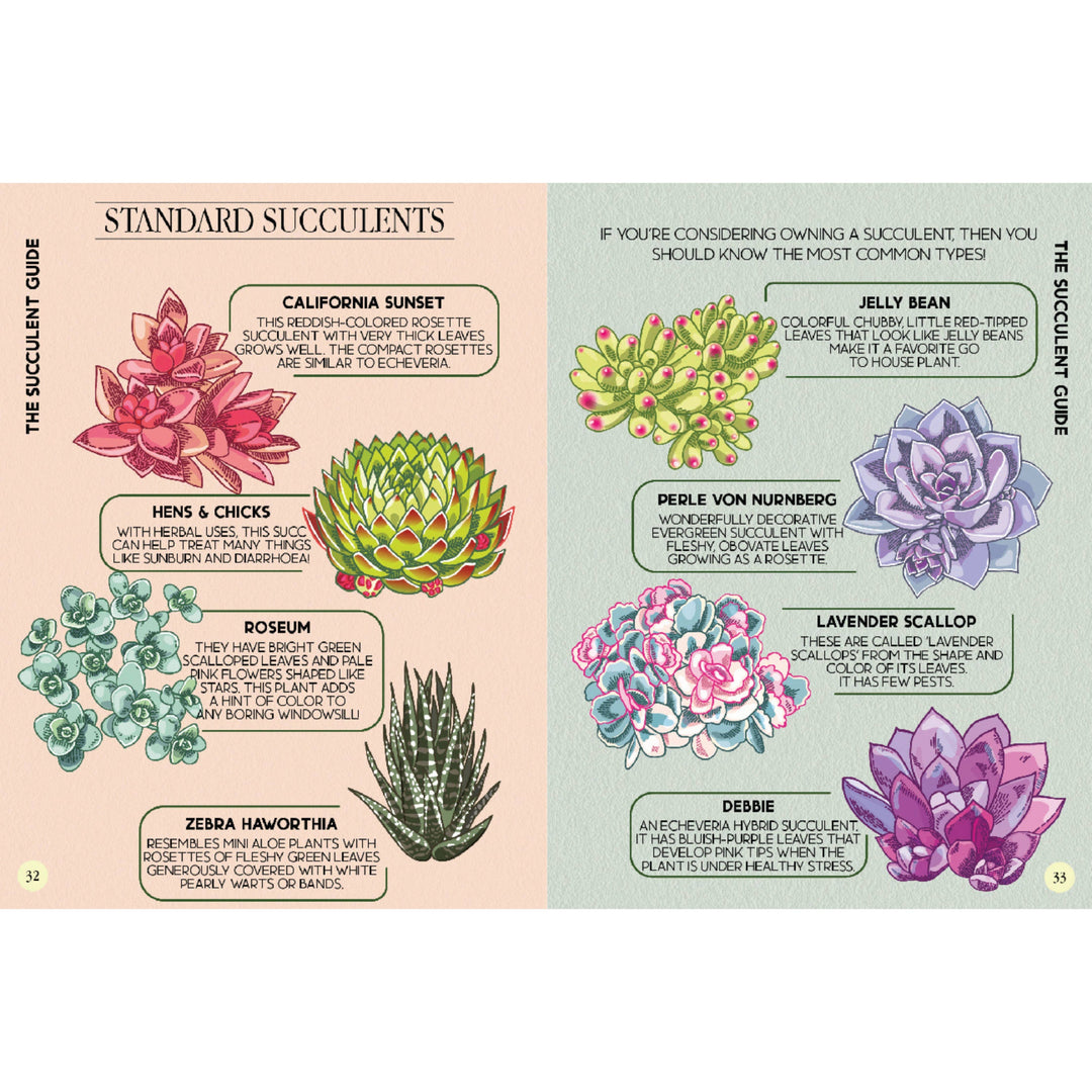 Houseplant Survival Guide - Indoor Plant Tips and Tricks