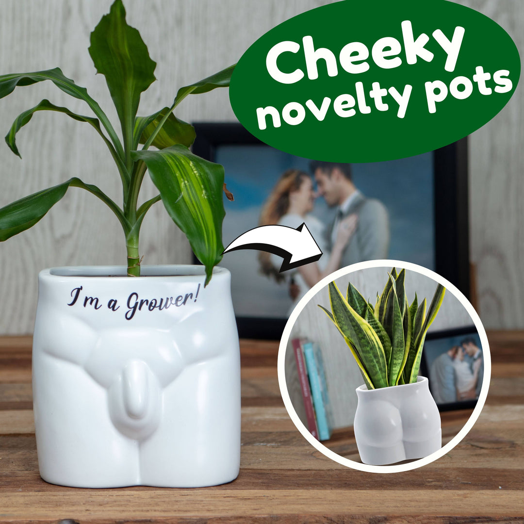 Put Some Plants On - I&