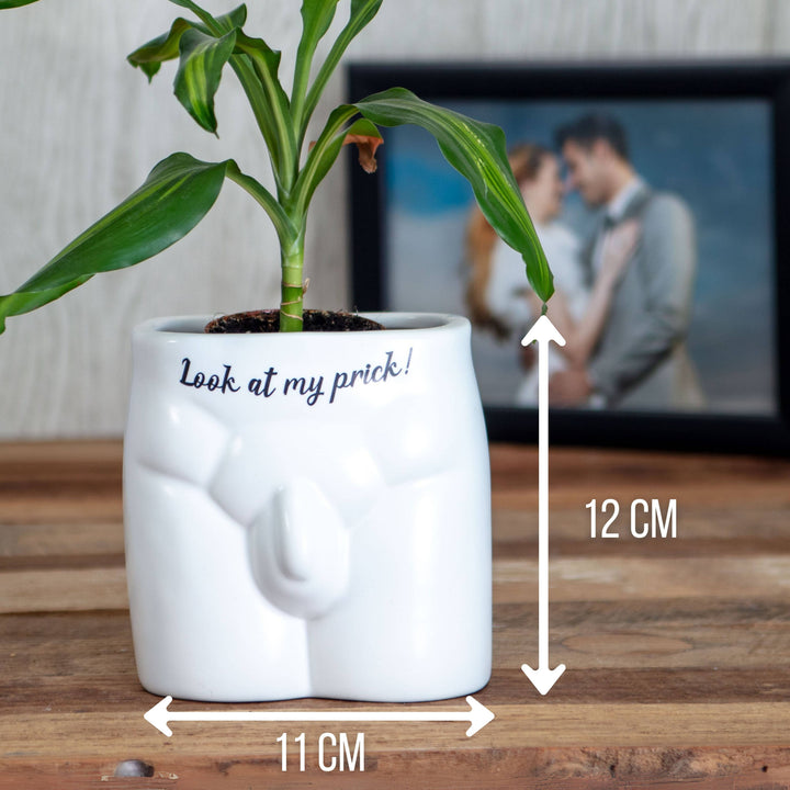 Put Some Plants On - Look At My Prick - Ceramic Pot - Magnolia the Florist Feeling thorny? Got a friend with a saucy succulent? Part of our hilarious &