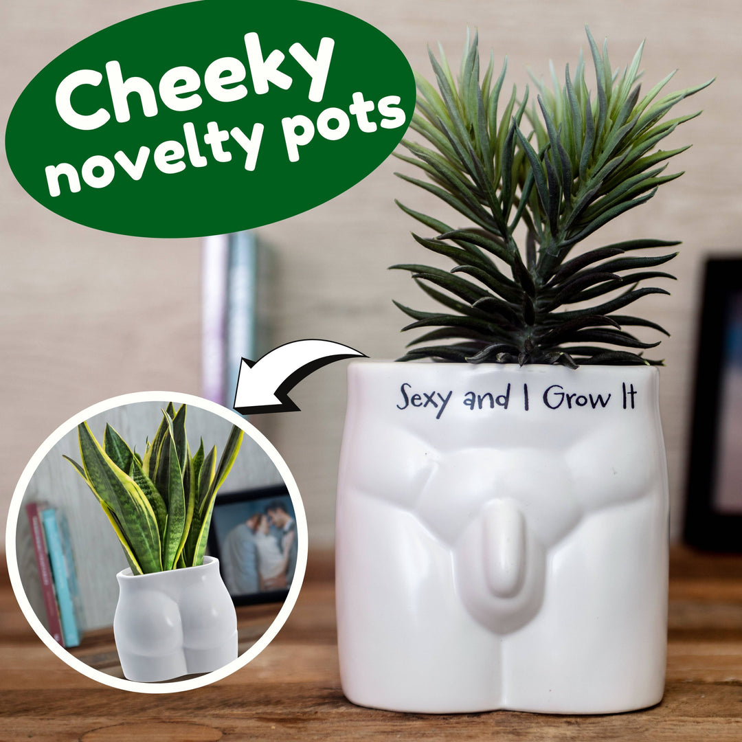Put Some Plants On - Sexy and I Grow It - Ceramic Pot