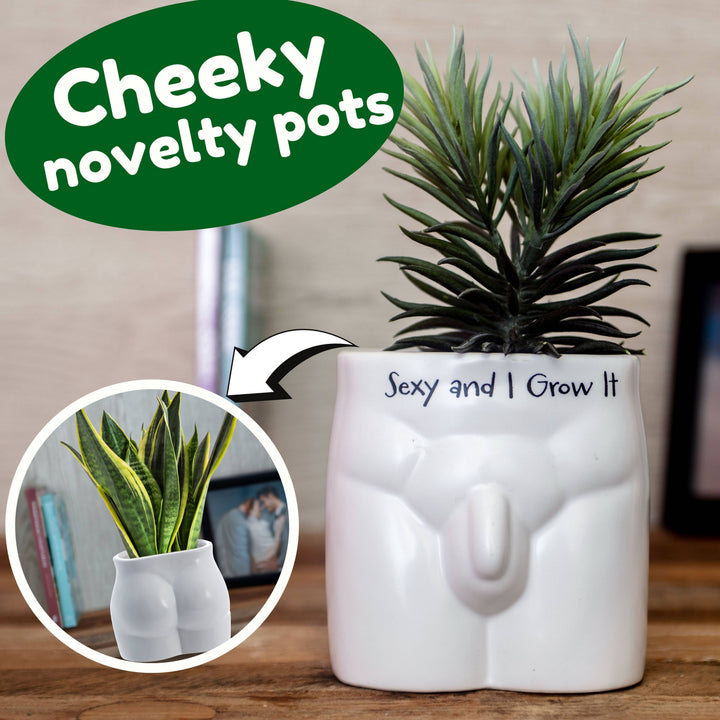 Put Some Plants On - Sexy and I Grow It - Ceramic Pot