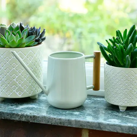 Indoor Watering Can - Pale Jade