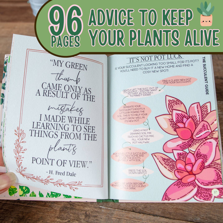Houseplant Survival Guide - Indoor Plant Tips and Tricks