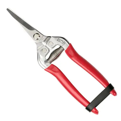 British Bloom - Gift Boxed Snip &amp; Holster