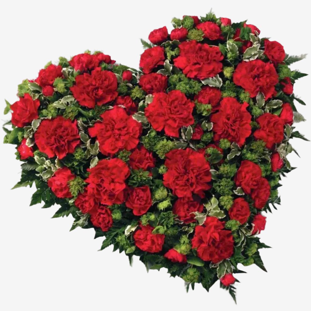 Carnation Heart - Magnolia the Florist A traditional 15" heart-shaped design including Carnations and Spray Carnations complemented by luxury foliage. The image shows the colours in Red, although other colour options are available. Please select your colour option below. If you cannot find what you want on our site, please call our sales team, we're always happy to assist you This item requires 2 days notice to order.  1