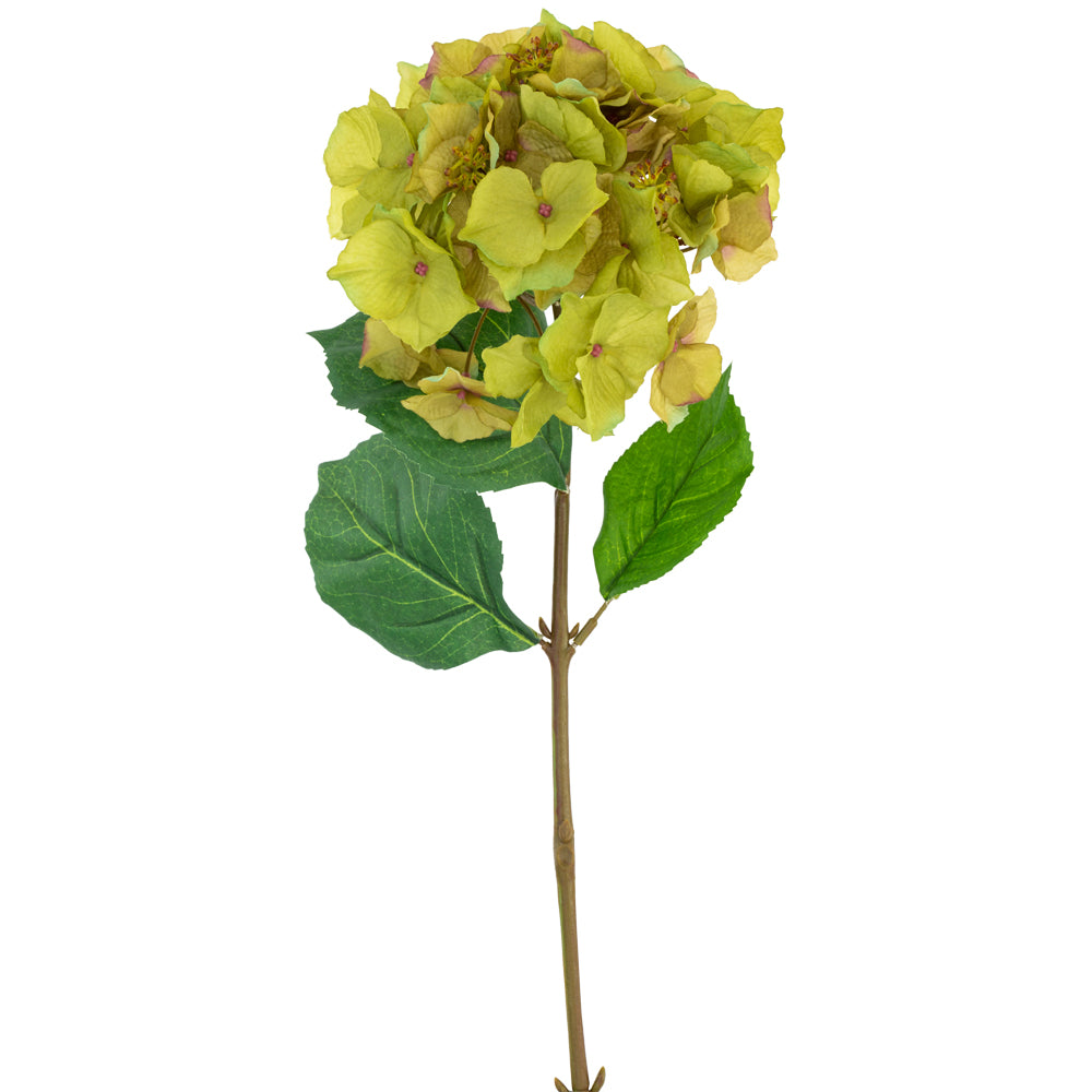 Hotensia Green 47cm - Magnolia the Florist Hydrangea, commonly named the hortensia, is a genus of over 75 species of flowering plants native to Asia and the Americas. This beautiful specimen is 47cm long with subtly green petals and darker green veined leaves. Due to its colour palate this example is most popular when arranged in the late summer and autumn months.  1