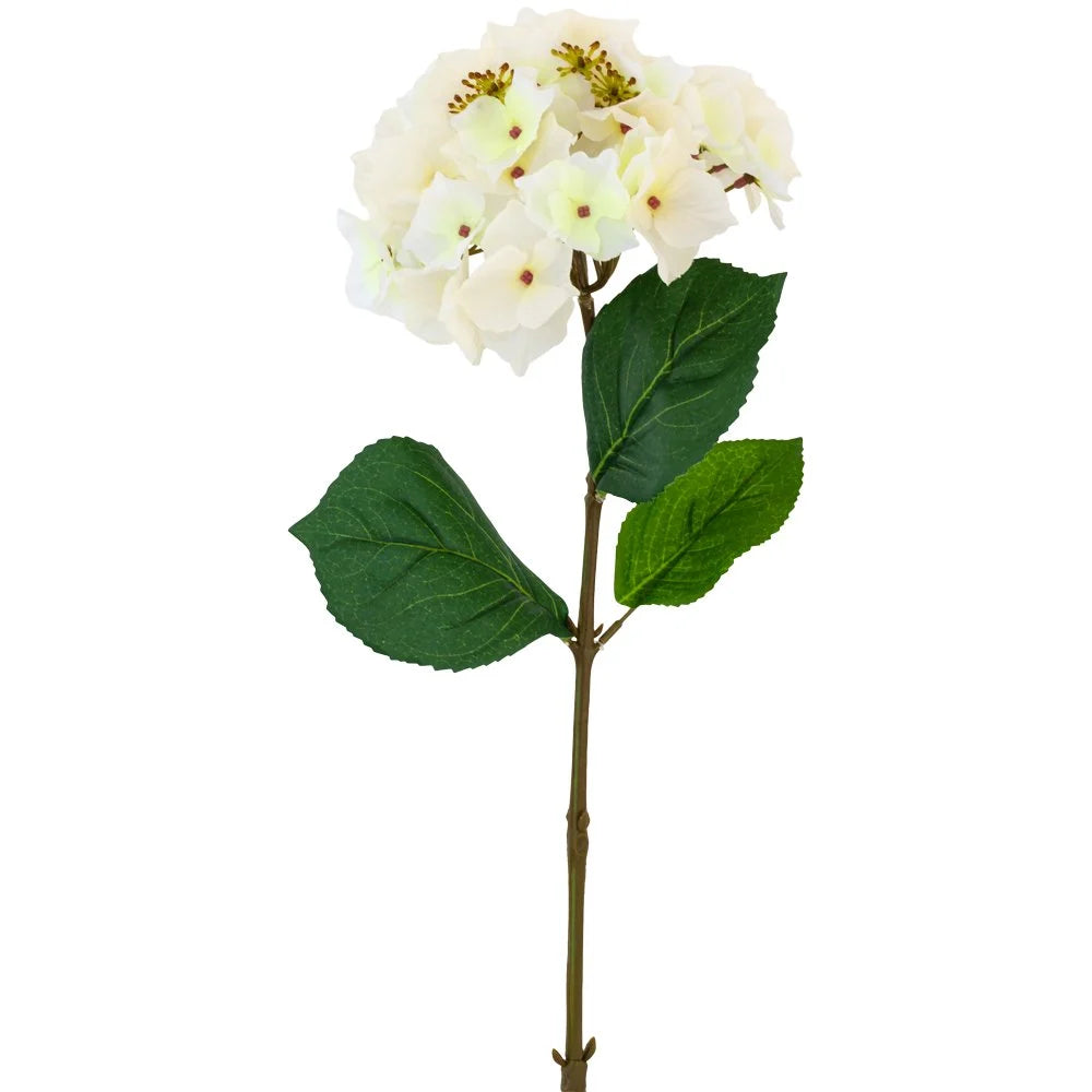 Hotensia White 47cm - Magnolia the Florist   1