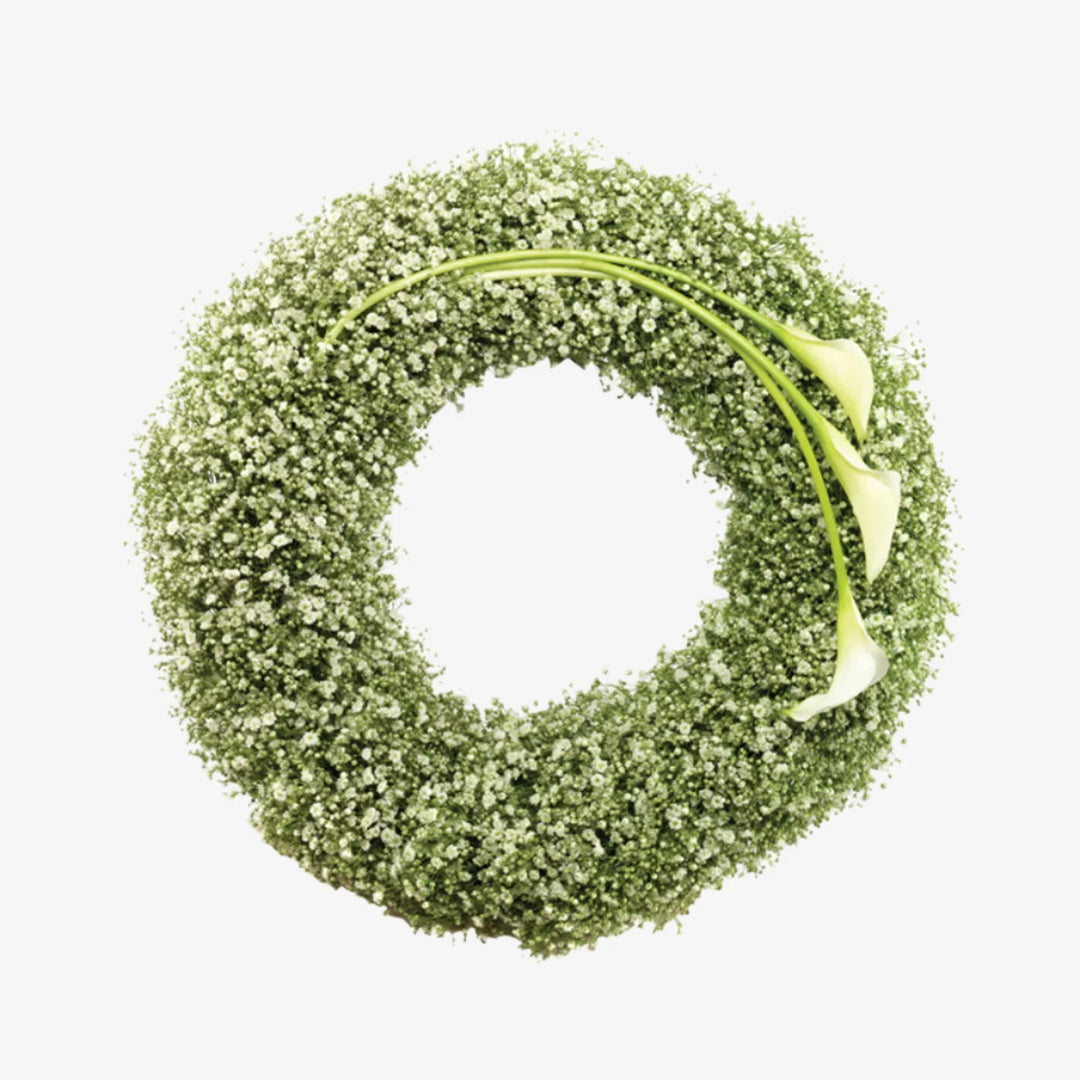 Based Gyp Wreath - Magnolia the Florist A classic circular wreath covered with a mass of white Gyposophlia and finished with a simple spray of white Zantedeschia (Calla). If you cannot find what you want on our site, please call our sales team, we're always happy to assist you. This item requires 3 days notice to order.  1