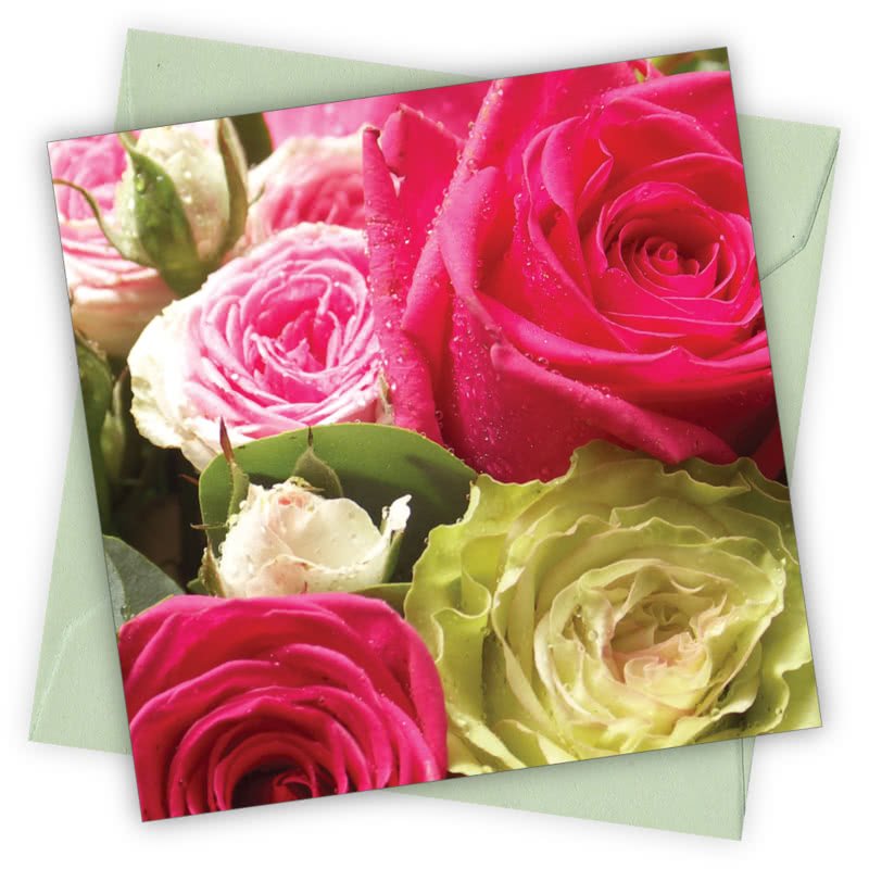Bouquet Of Roses Greetings Card - Magnolia the Florist Individual greeting card and envelope. Blank inside for your personal message Supplied with a colour co-ordinated envelope Envelope colour: Green High-quality (300gsm) matt finish card Printed in the UK. Size: 100mm × 100m  1