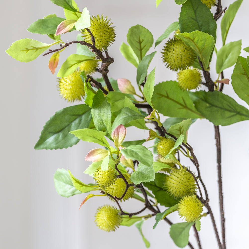 Chestnut Branch 78cm - Magnolia the Florist This rugged, dark, Chestnut branch instantly adds a naturalistic feel to a display. With the stems gathered or singularly in a vase the spikey green nuts add texture with the lush, serrated leaves add volume. Art lovers Chestnut fact: Blossoming Chestnut Branches was painted by Vincent Van Gough during the artist’s Auvers-Sur-Oise period in May 1890, the final year of his life.  3