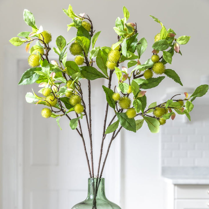Chestnut Branch 78cm - Magnolia the Florist This rugged, dark, Chestnut branch instantly adds a naturalistic feel to a display. With the stems gathered or singularly in a vase the spikey green nuts add texture with the lush, serrated leaves add volume. Art lovers Chestnut fact: Blossoming Chestnut Branches was painted by Vincent Van Gough during the artist’s Auvers-Sur-Oise period in May 1890, the final year of his life.  2