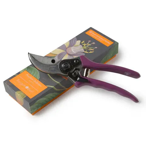 Passiflora Gift Boxed Secateurs - Magnolia the Florist Burgon & Ball RHS-endorsed Bypass Secateur with coloured comfort grip handles. Presented in a beautiful and stylish printed box featuring the striking Passiflora artwork from the RHS Lindley Collections.  1
