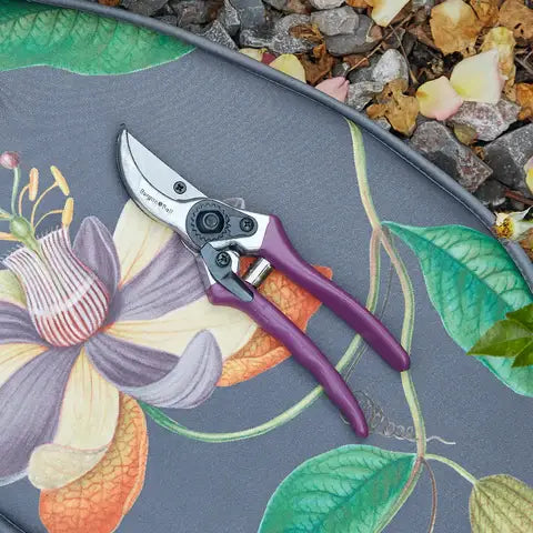 Passiflora Gift Boxed Secateurs - Magnolia the Florist Burgon &amp; Ball RHS-endorsed Bypass Secateur with coloured comfort grip handles. Presented in a beautiful and stylish printed box featuring the striking Passiflora artwork from the RHS Lindley Collections.  3