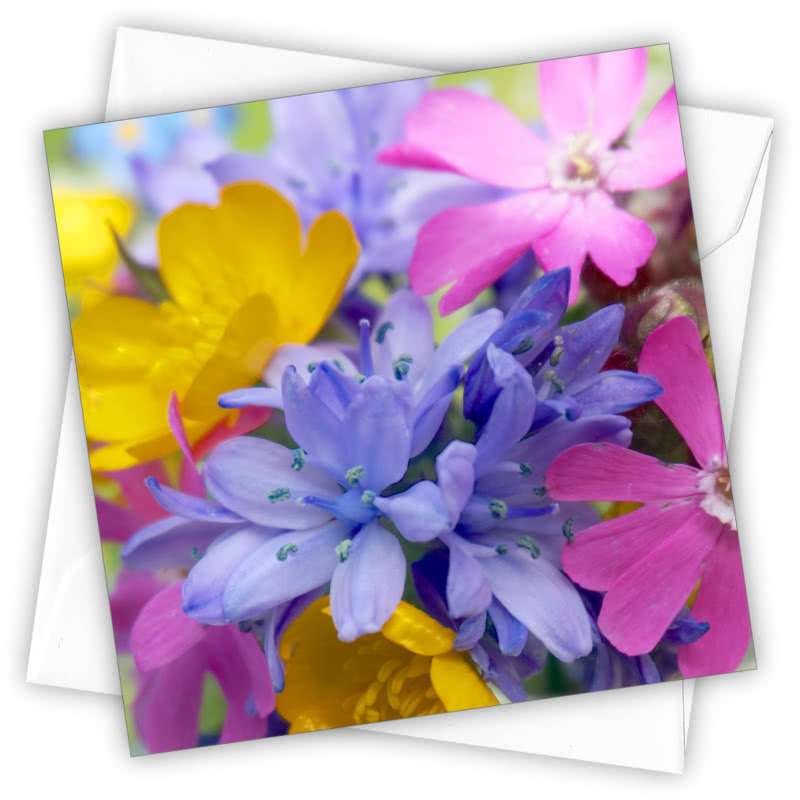 Wild Flowers Greetings Card - Magnolia the Florist Individual greeting card and envelope. Blank inside for your personal message Supplied with a colour co-ordinated envelope Envelope colour: White High-quality (300gsm) matt finish card Printed in the UK. Size: 100mm × 100m  1
