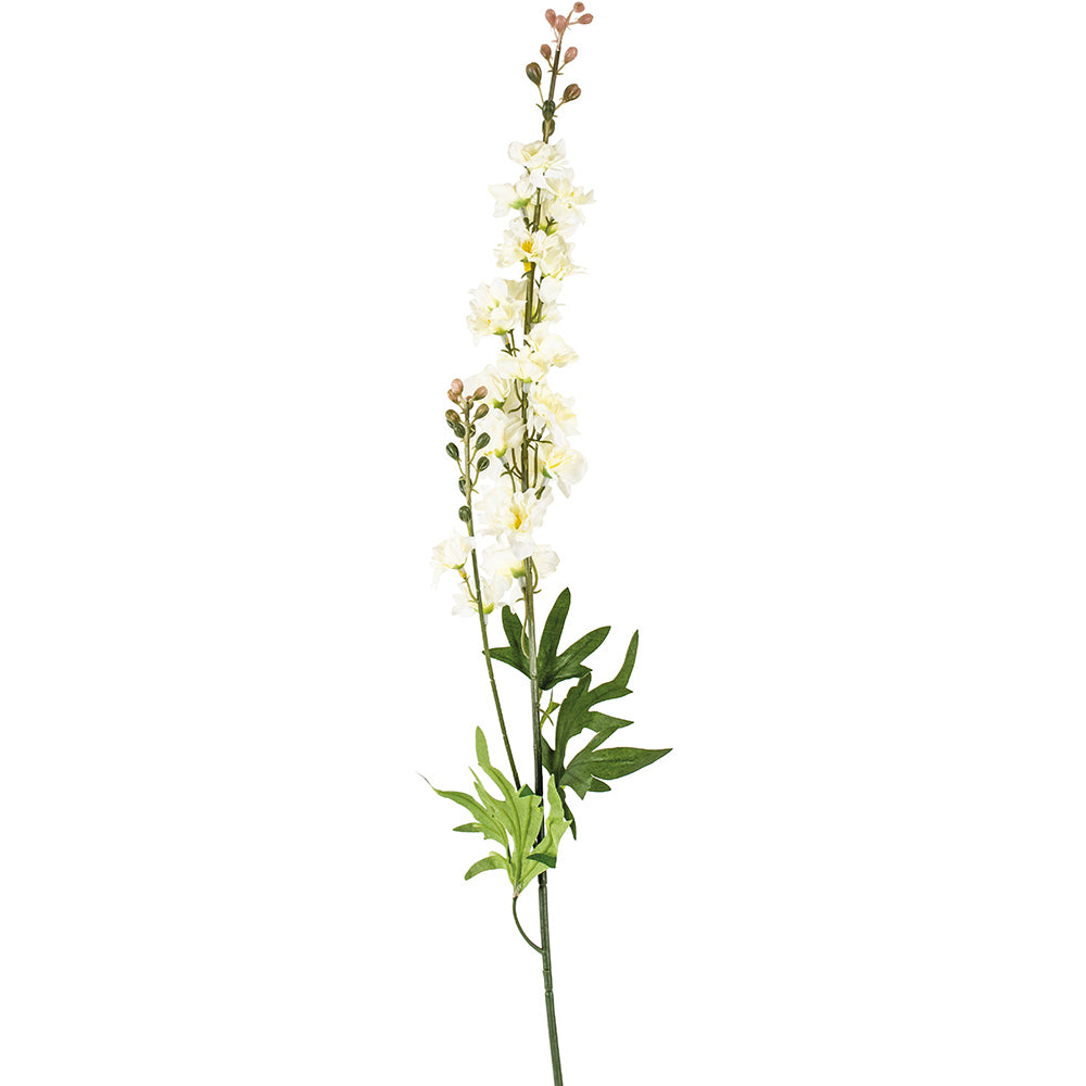 Delphinium White 79cm - Magnolia the Florist A cottage garden favourite, there is no need to wait until early Summer for these white beauties to flower. Prized by florists, these stunning flower spikes provide all year round colour in a generous length to suit grander displays.  1