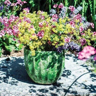 "PROVENCAL" Oval Ceramic Vase Forest Green - Magnolia the Florist Our Provecal-style range of glazed clay pots & vases have a distinct Mediterranean feel about them, as in this Provencal Oval Vase in Forest Green. They lend themselves beautifully to our range of Faux Succulents for a style that is both calming and botanical. They would also look great with Spring bulbs.Dimensions: 18x10x16cm  1